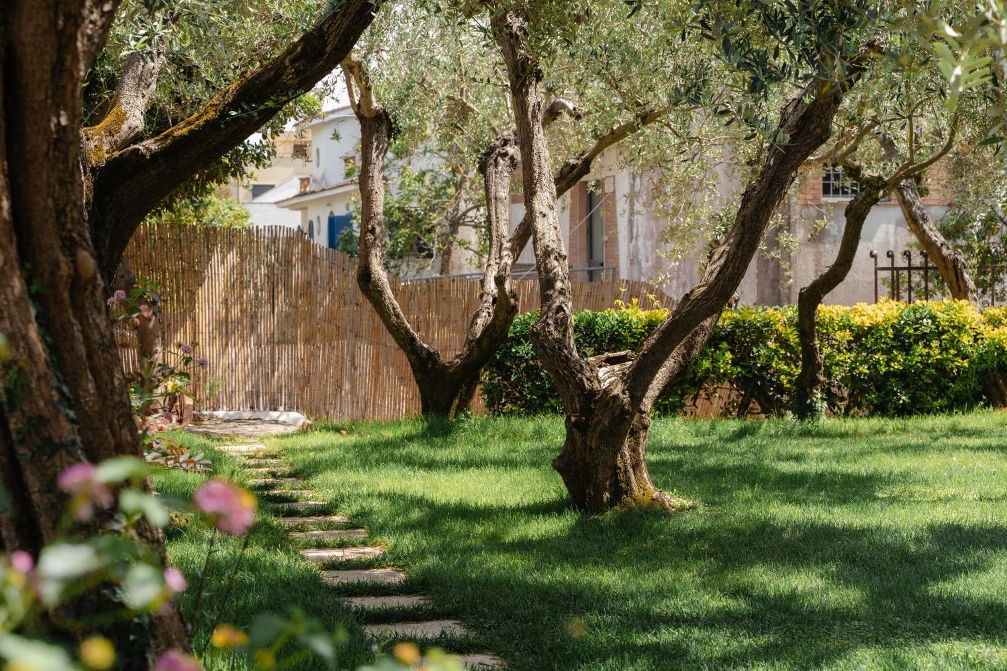 Mami Sabaudia Hotel Εξωτερικό φωτογραφία